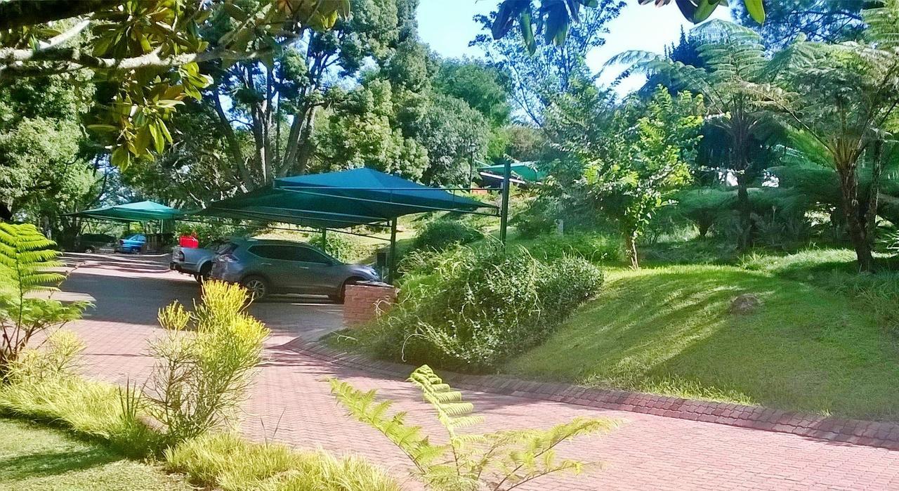 Pine Lake Resort ไวท์ริเวอร์ ภายนอก รูปภาพ
